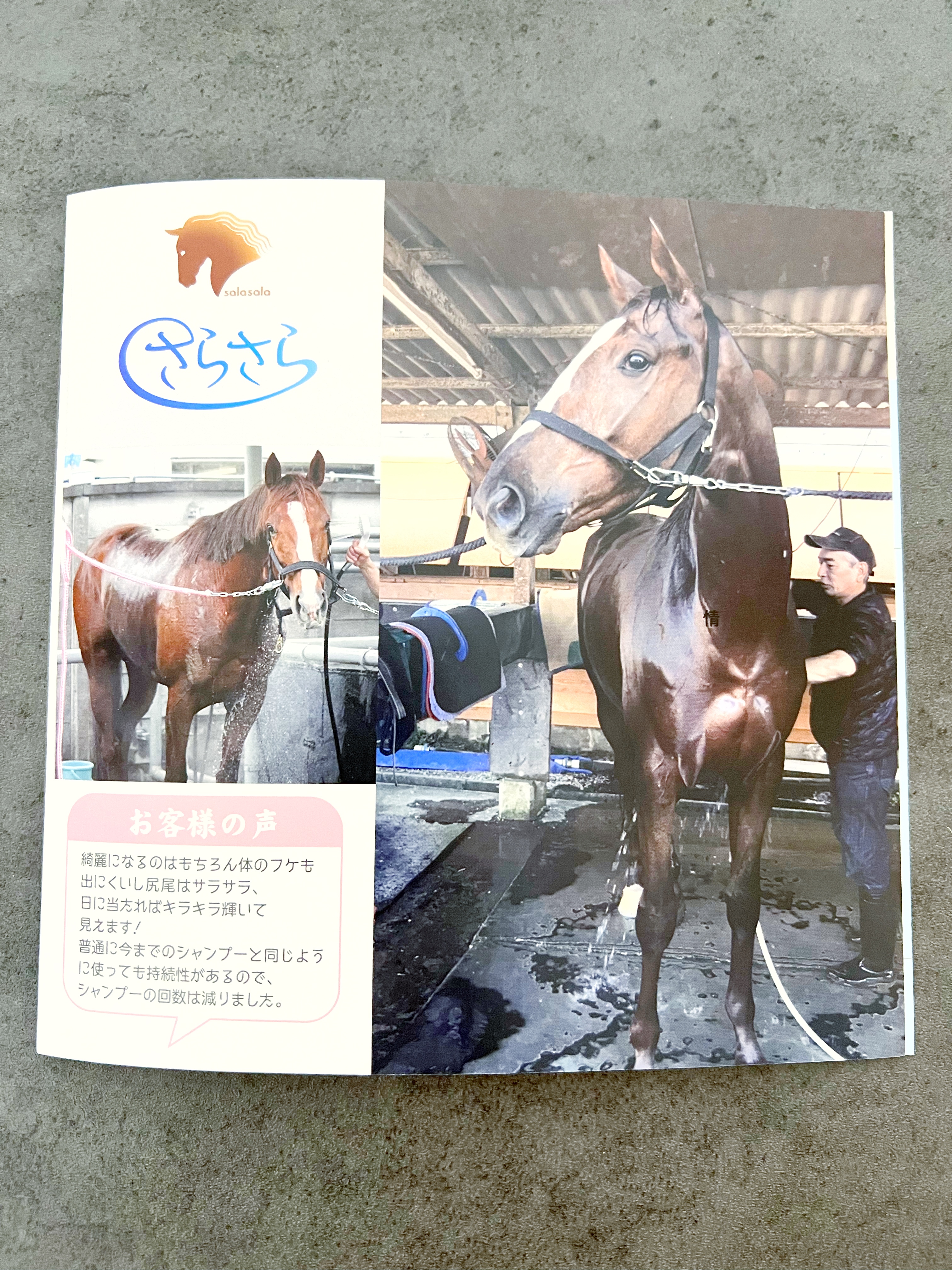 さらさら　馬用シャンプー